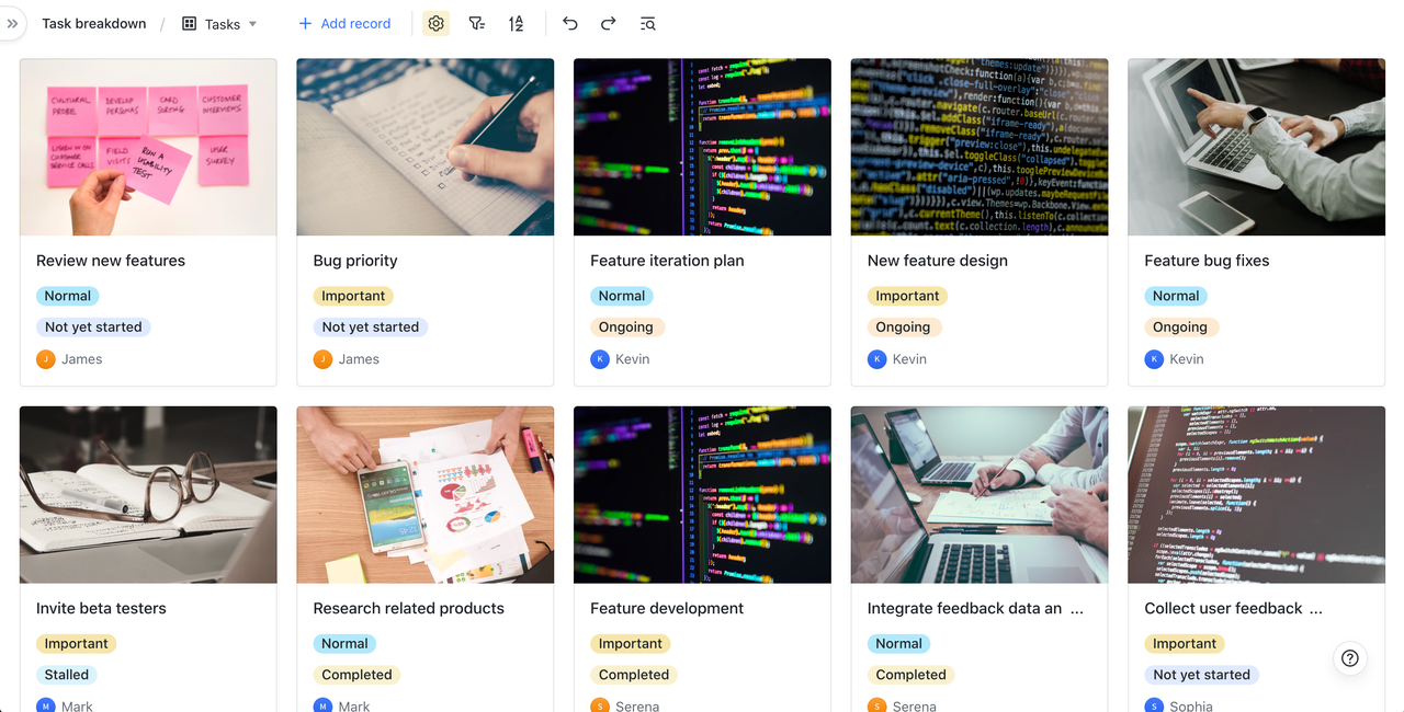 rikkei digital lark suite viet nam