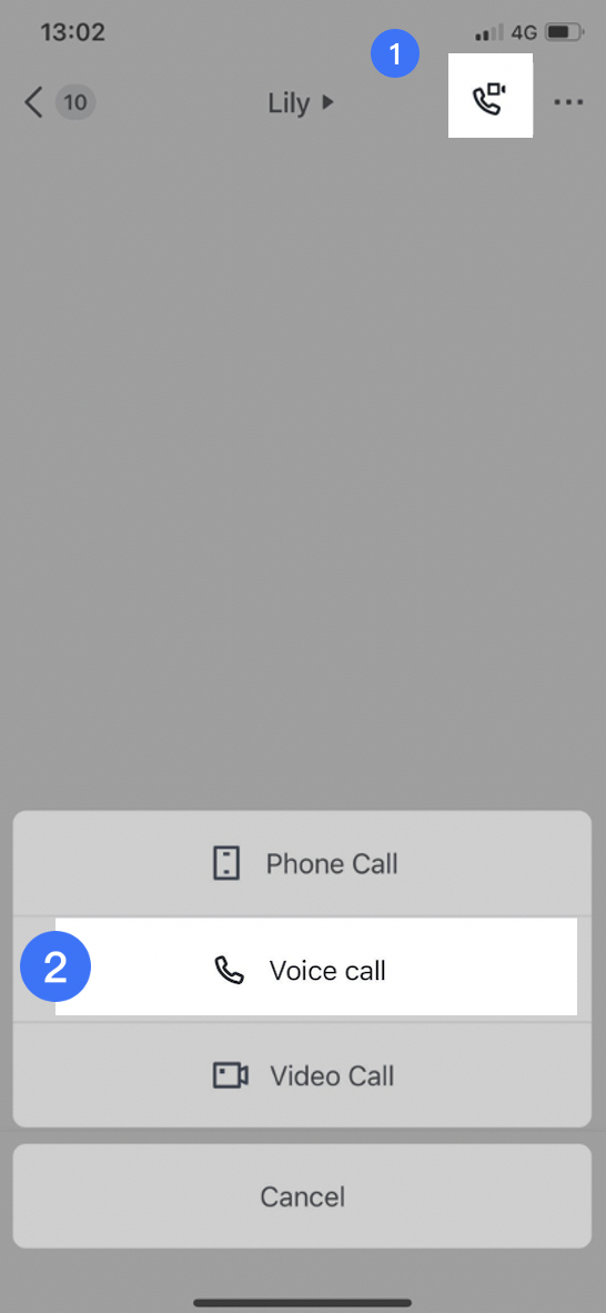 Thực hiện cuộc gọi thoại cách 2