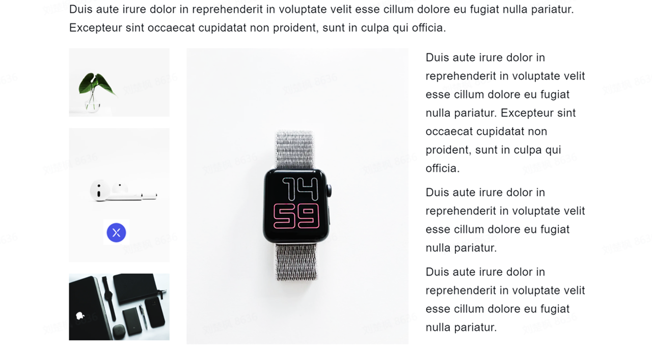 rikkei digital lark suite viet nam