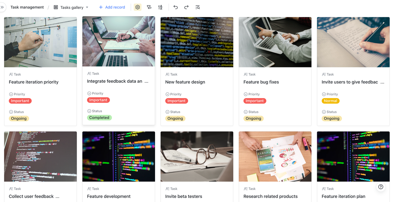 rikkei digital lark suite viet nam