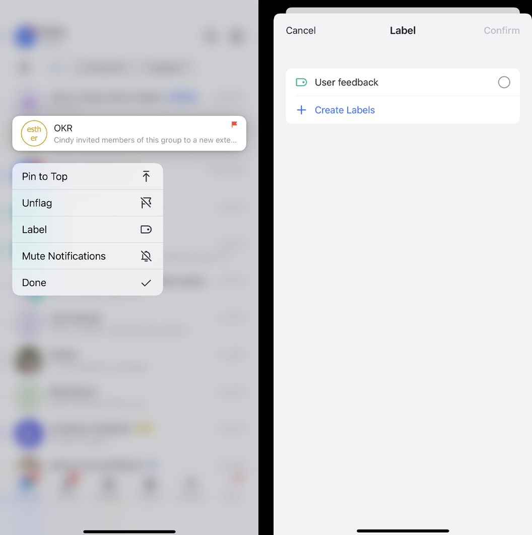 rikkei digital lark suite viet nam