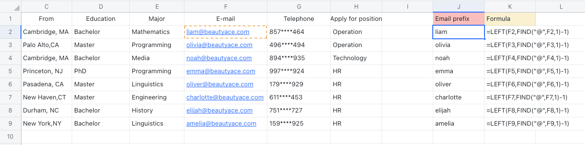 rikkei digital larksuite viet nam