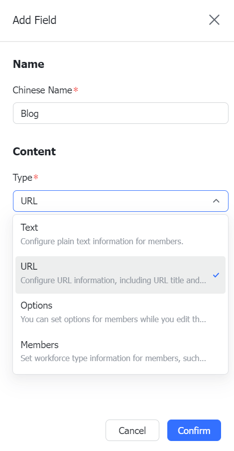 rikkei digital lark suite viet nam
