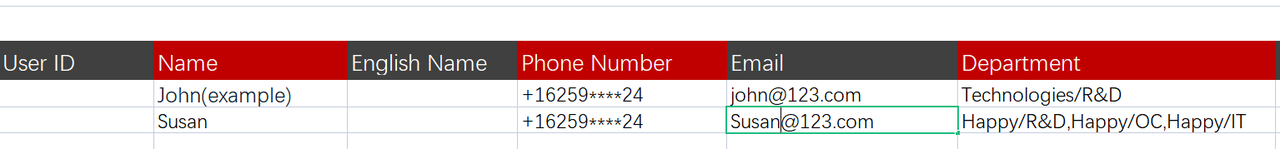 rikkei digital lark suite viet nam