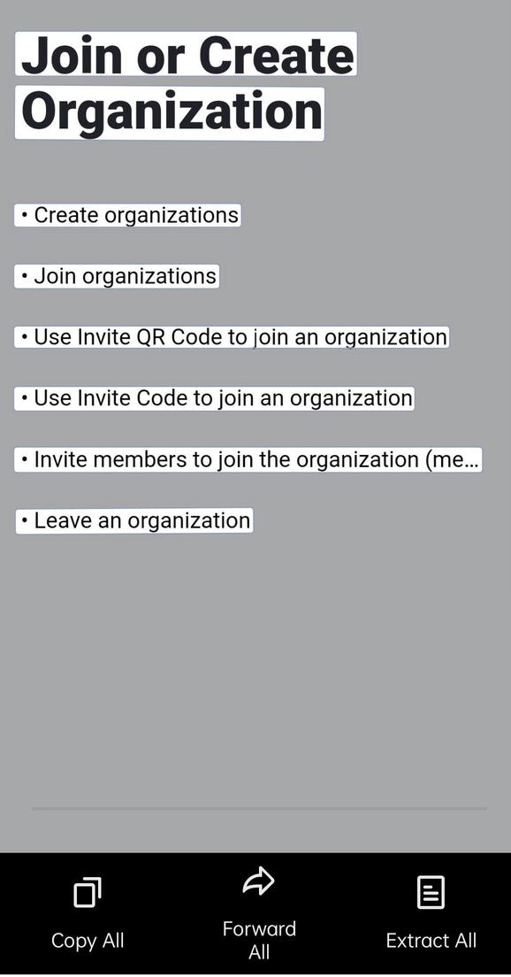 rikkei digital lark suite viet nam