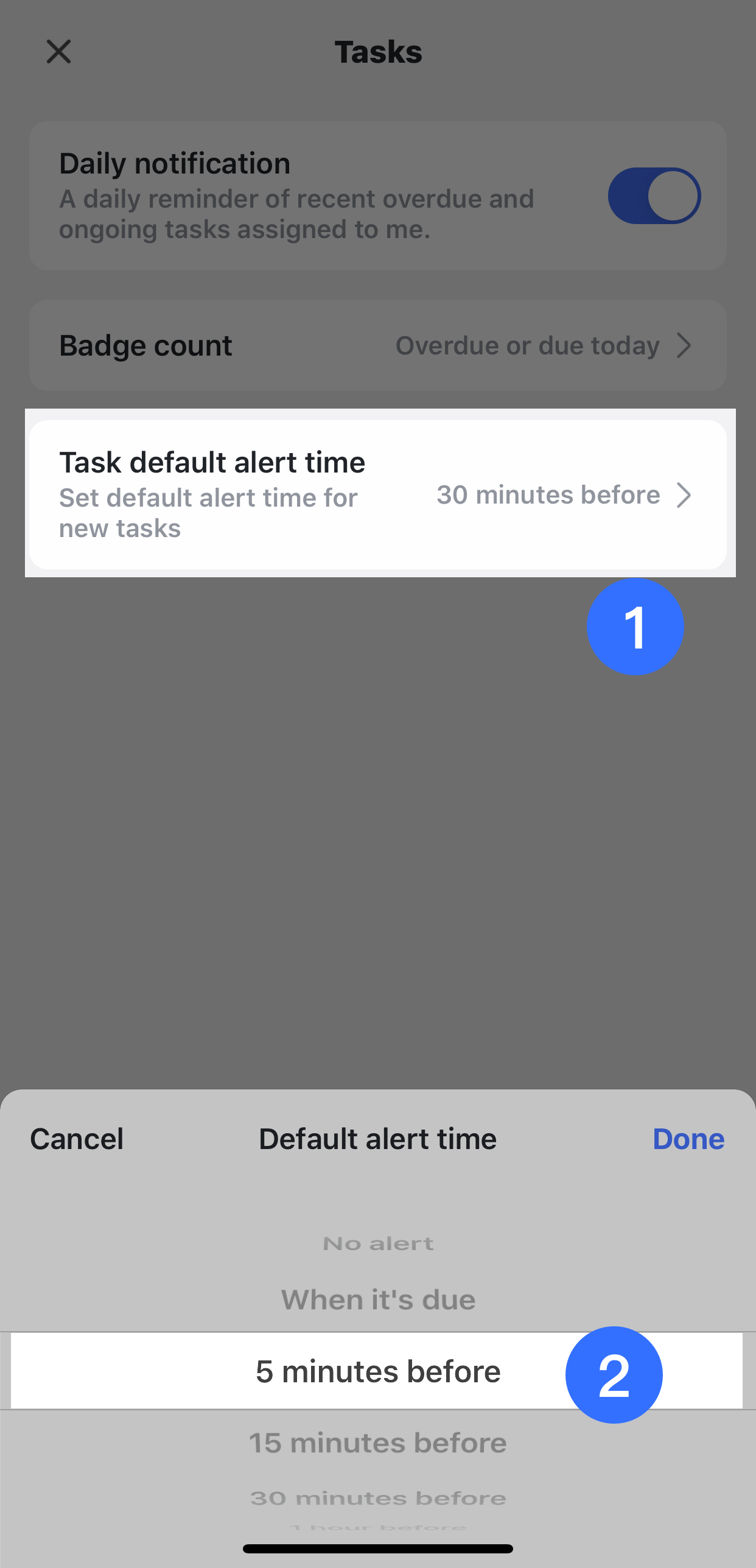 rikkei digital lark suite viet nam