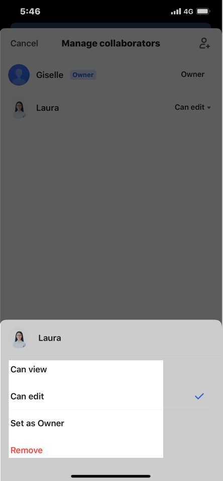 rikkei digital lark suite viet nam