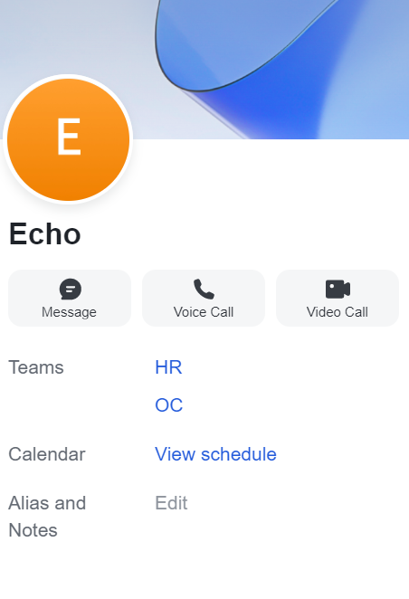 rikkei digital lark suite viet nam