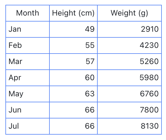 rikkei digital lark suite viet nam