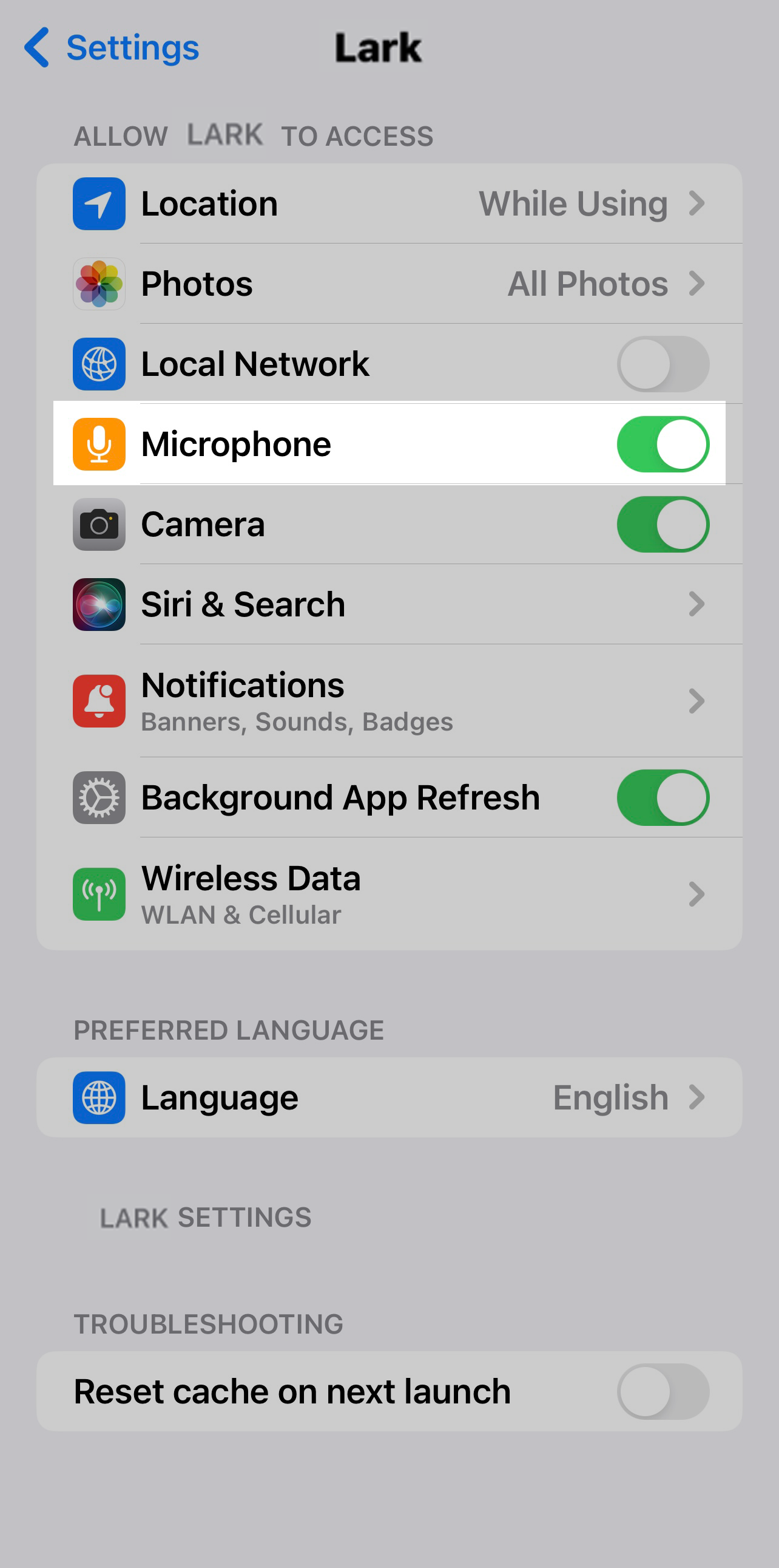 rikkei digital lark suite viet nam