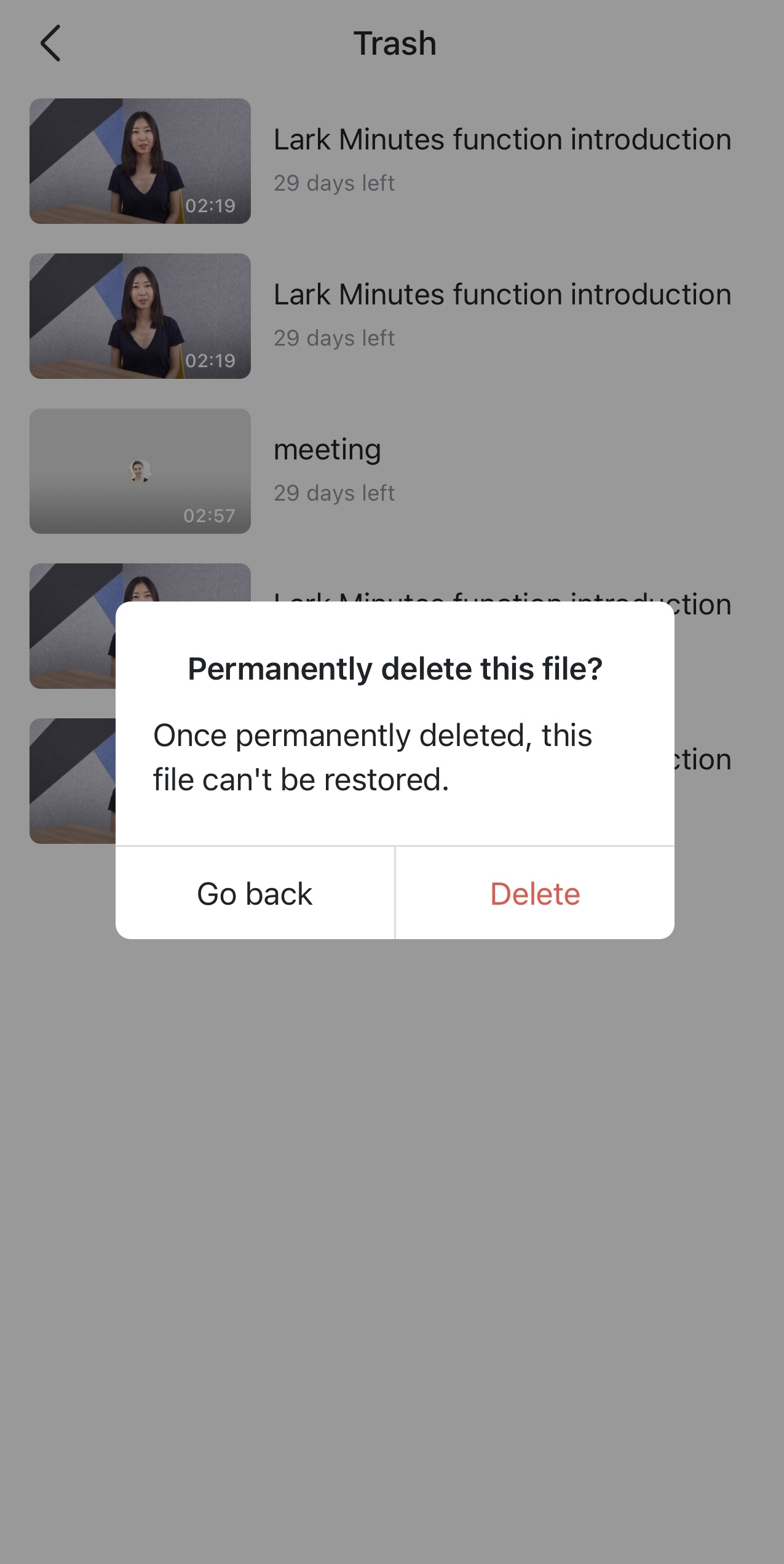 rikkei digital lark suite viet nam