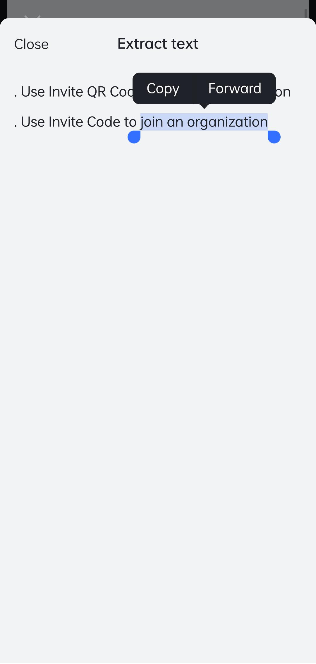 rikkei digital lark suite viet nam